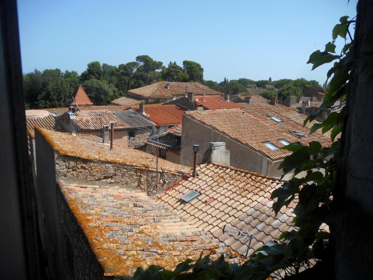 Logis De La Meschaussee, Dans Donjon Du Xie Siecle Canet  외부 사진